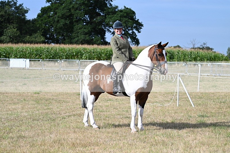 WJ7_2601 - Class 8 Ridden Tack & Turnout