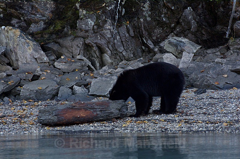  - Canada West Coast