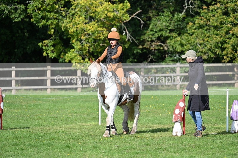 WJ7_3931 - 40cm Time 10:26 to 10:42