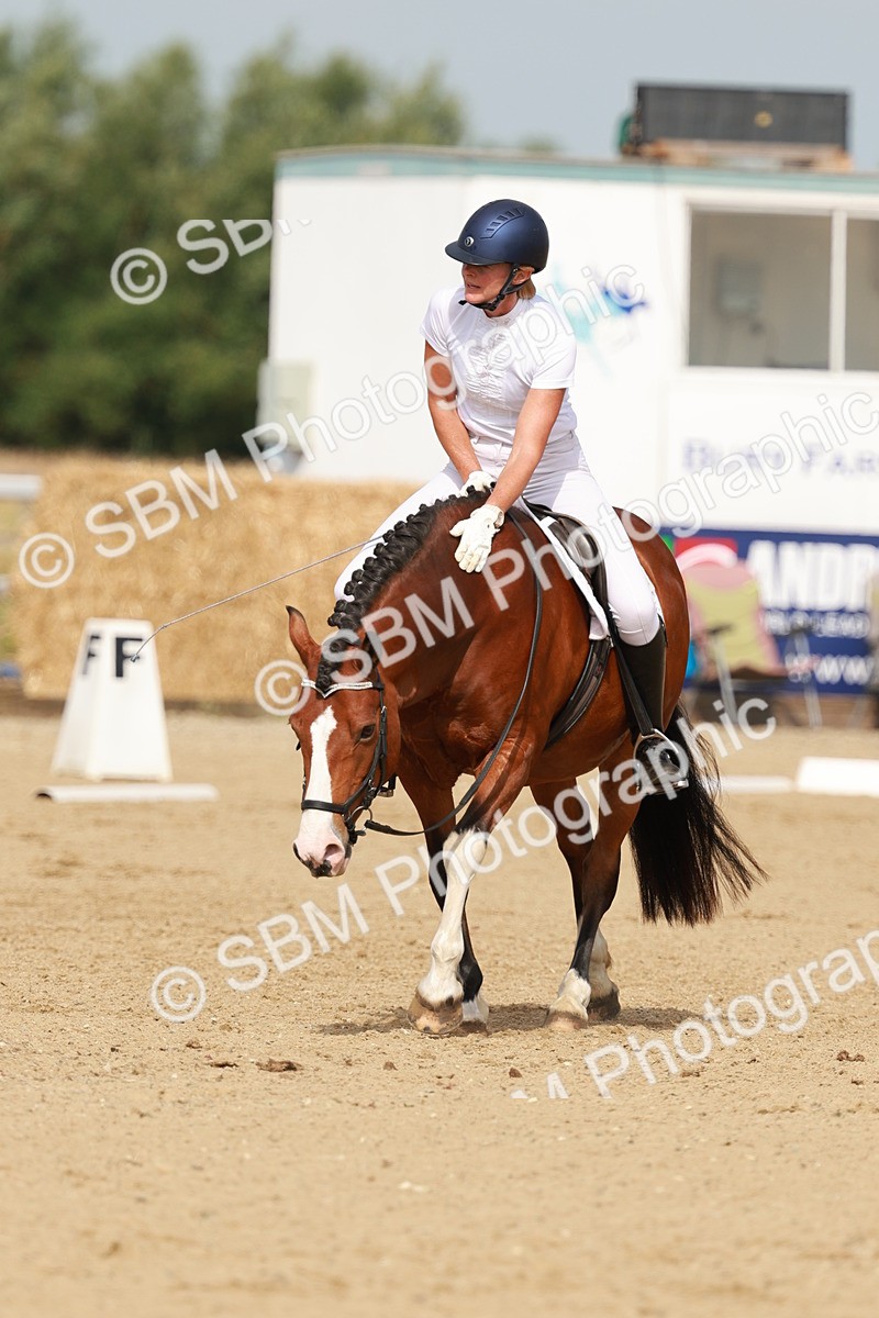 SBM_021352 - Class 13 - N5