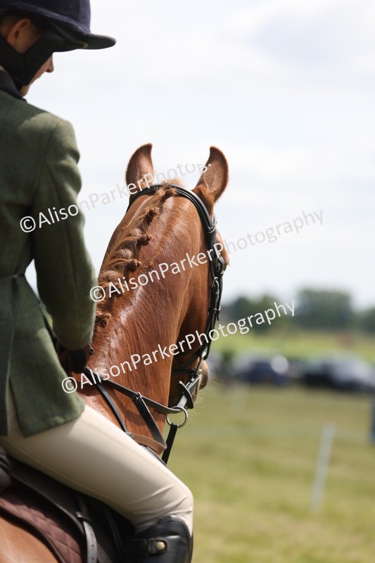 20260614-1845 - Class 21 - Novice Working Hunter Pony