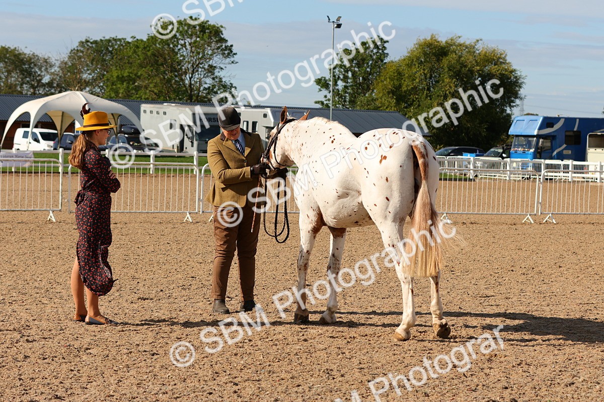 SBM_16983