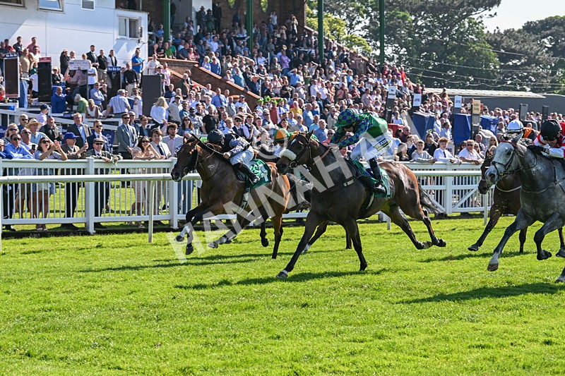 180524-Race 5-Tinto-9702 - Race 5