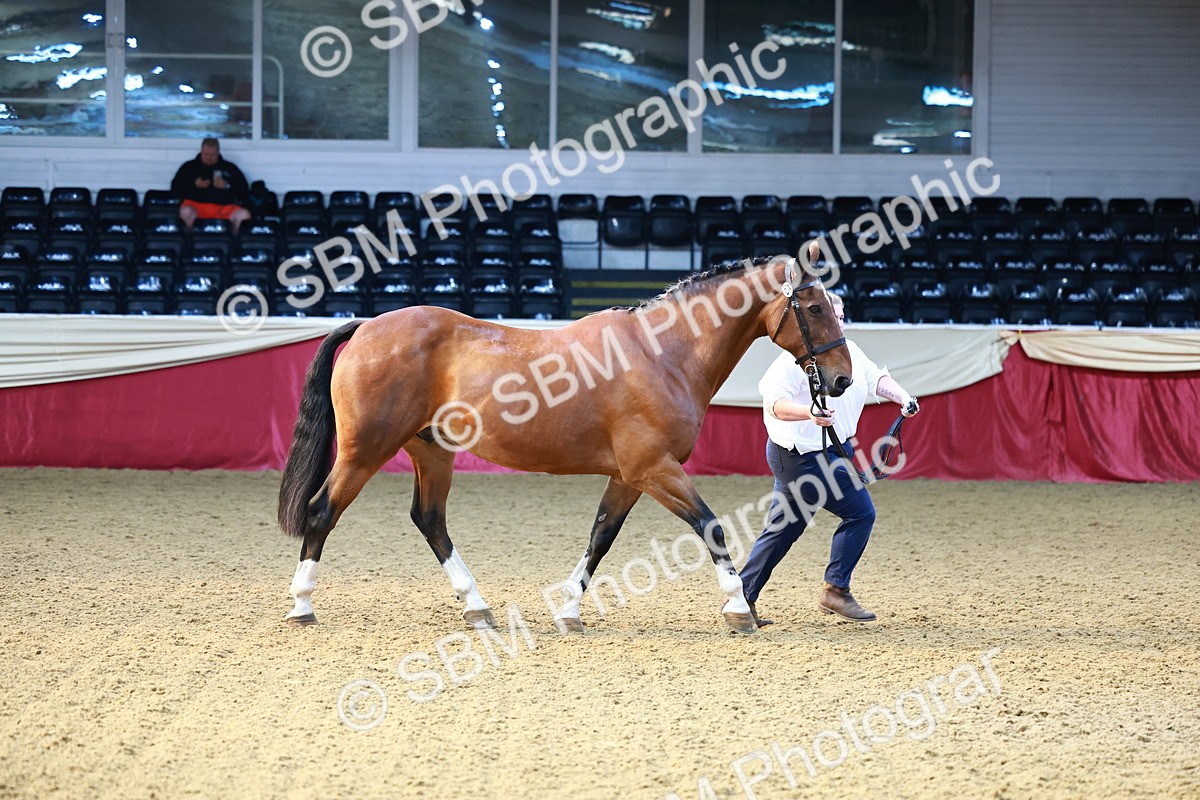 SBM_22198 - Class 902 - Supreme Final - IH Diamond