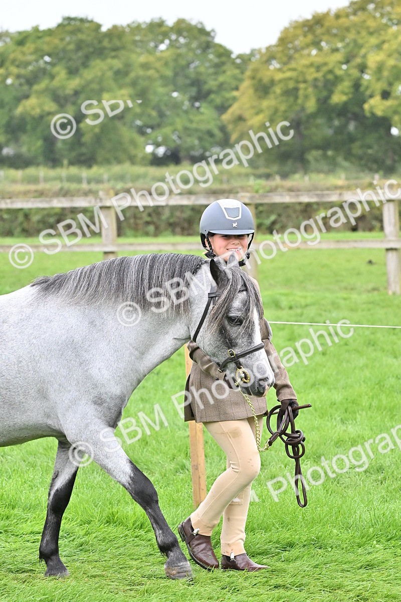 SBM_60932 - S48 - Mountain & Moorland In Hand Small Breeds