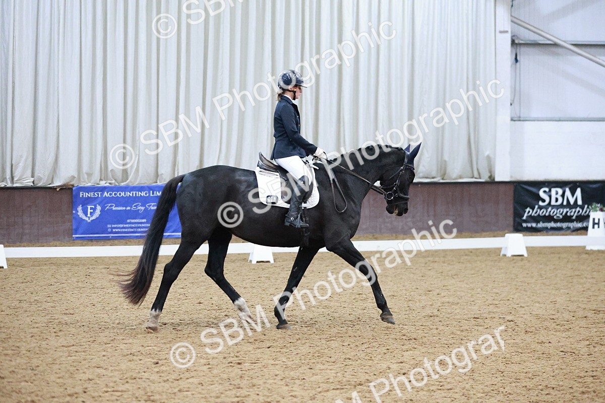 SBM_004698 - Ring 3 - International -  Working Hunter Classes 23-2-25