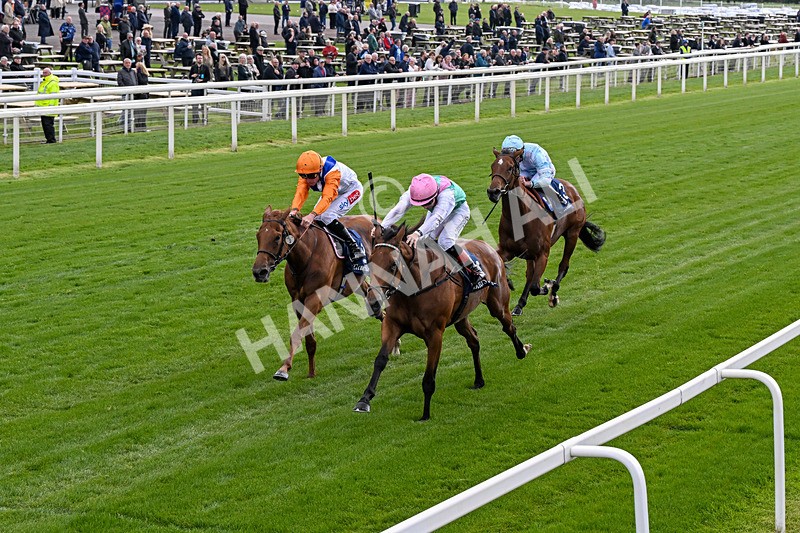 130526-Race 5-Legacy Link-0306 - Race 5 4.05pm Tattersalls Musidora Stakes