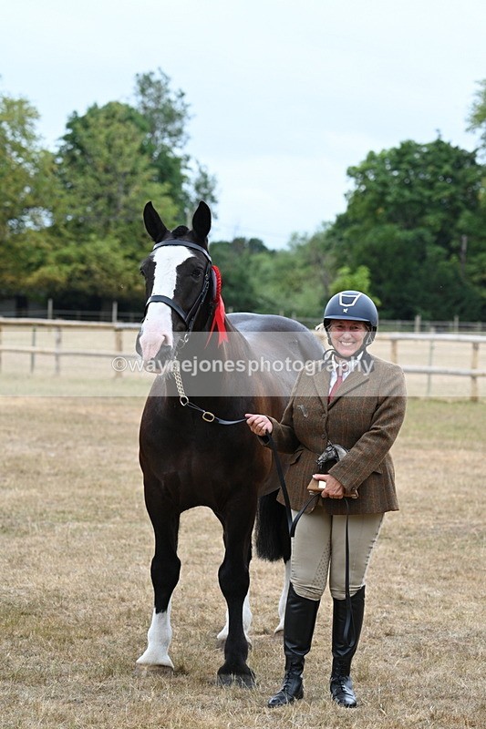 WJ7_0234 - Gelding Champs