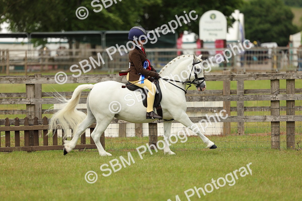 SBM_10450 - Class 44-45 - LIHS BSPS Open Nursery and Cradle Stakes