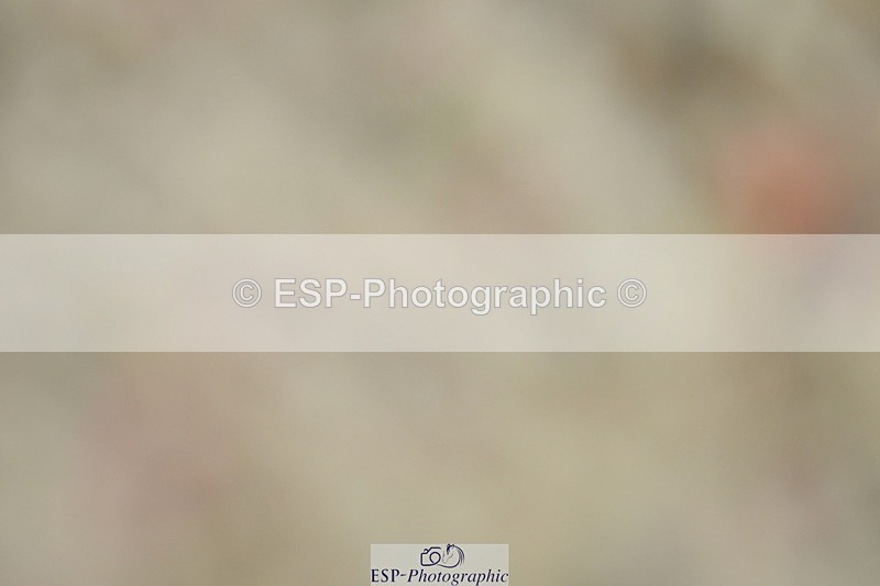 230630A-151336-03140 - Cls 13+14+18 Adv Medium 91+98 &Music PSG