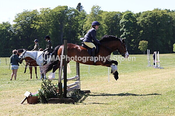 IMG_4052 - Working Hunter