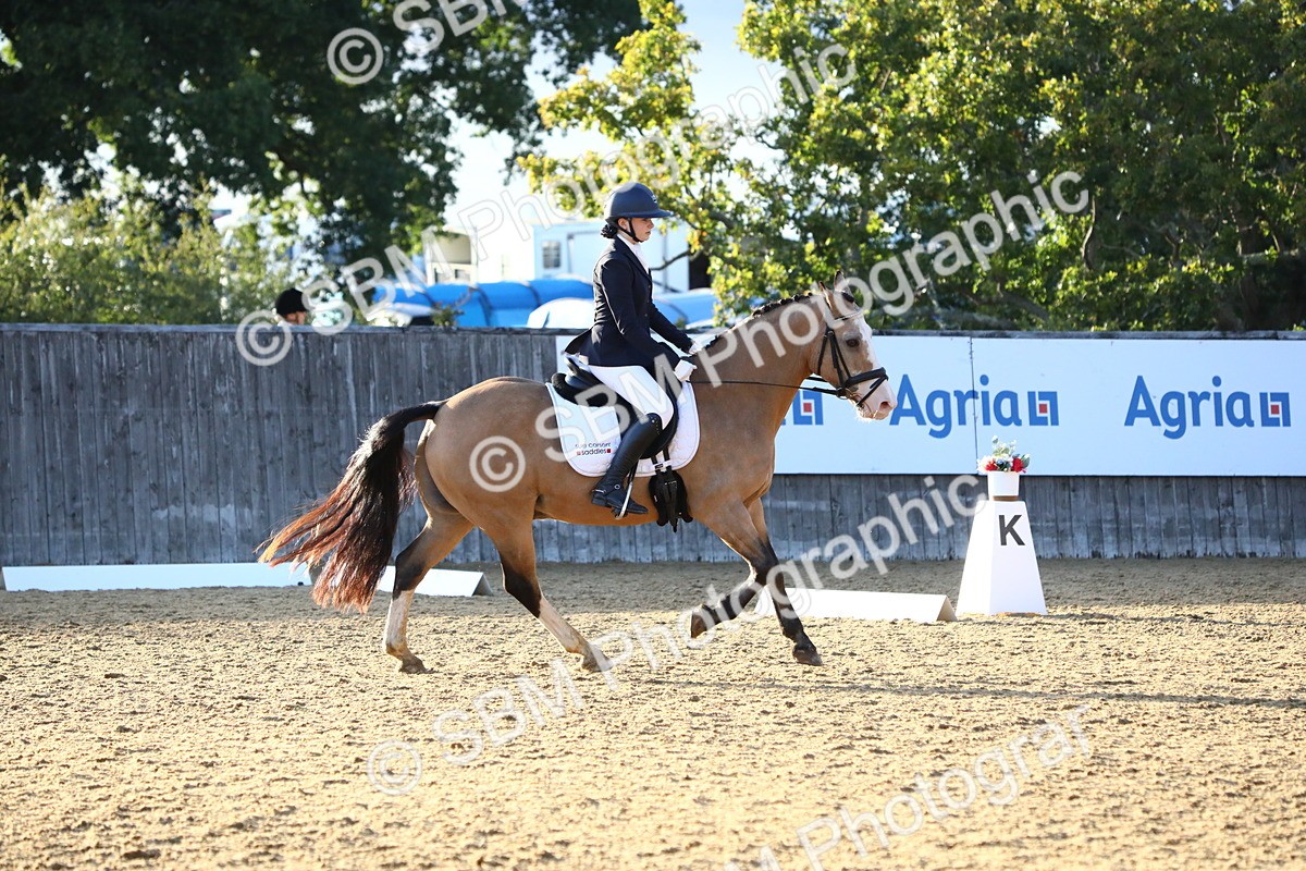 SBM_54533 - D25 - Junior Championship No1 & Elem 2