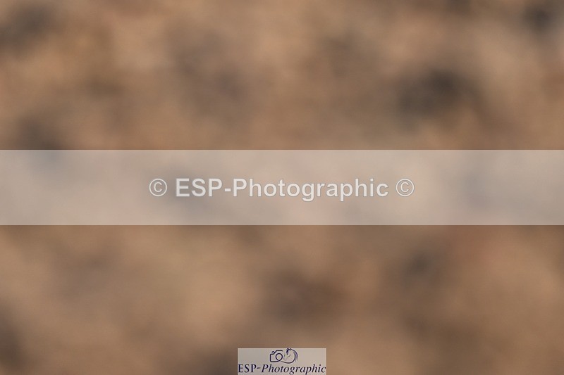 260626-191410-01161 - Cls 9 Winter-Summer