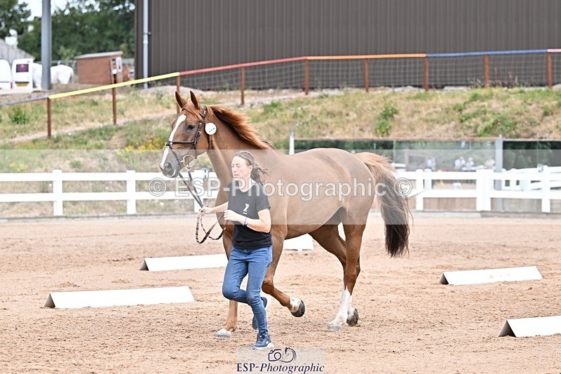 250716-134935-00681 - Trot Up 1.30 to 2.30