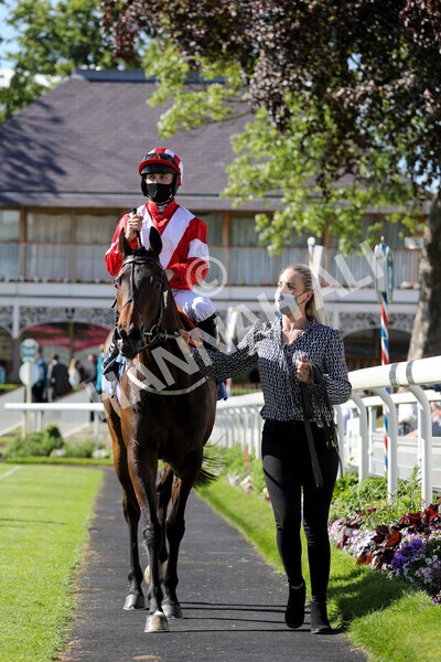  - Race 6 4.50pm The Ice Co supporting Macmillan Stakes