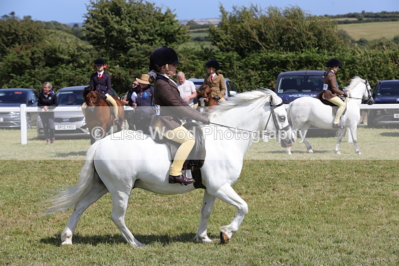 1X9A5384 - Class 37: NPS M&M First Ridden