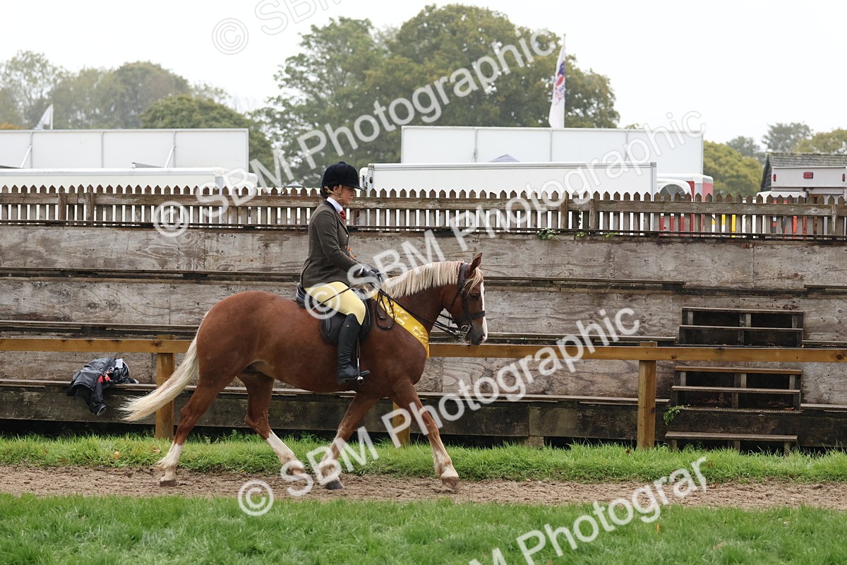 SBM_73106 - Ridden Pony Supreme Championship