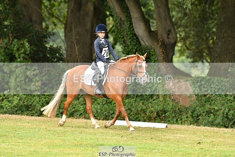 250820A-124233-05646 - 12 to 13.00