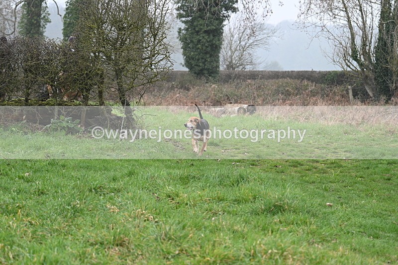 WJ7_0310 - Line 2 cam A