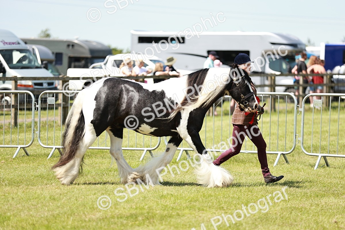 SBM_05501 - Class 41-45 - Riding Pony-Hunter Pony Breeding