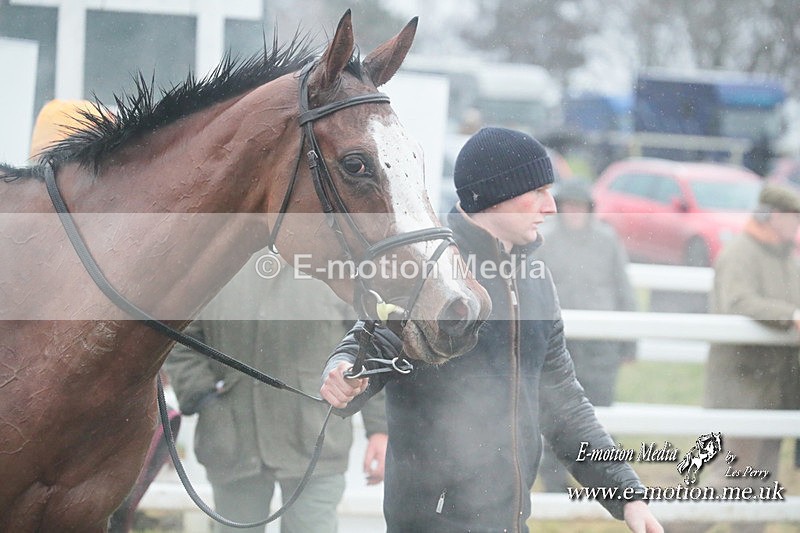 PtP 101223 548 - New Forest Hounds PtP Larkhill 10/12/23