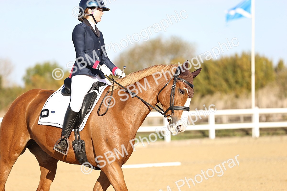 SBM_009069 - Class 2 - P5