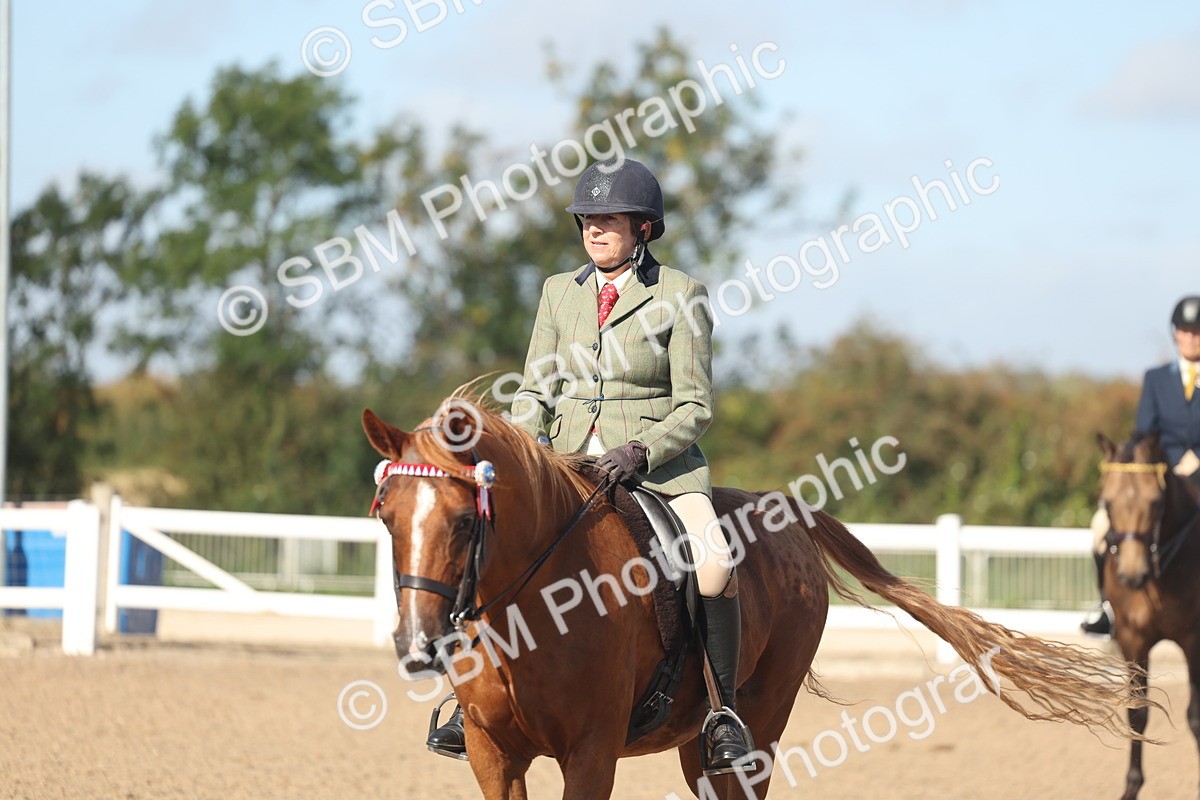 SBM_22331 - Class 803 - Ridden Combination 65+