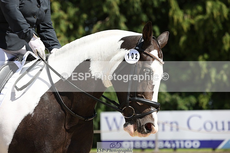 230811-135522-01924 - Cls 1 Prelim Bronze 13.30 to 14.50 break