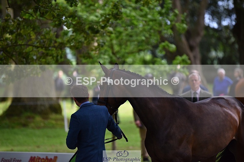 240522-150340-00064 - 303-KILLEENHOUSESTUD_OBOS_16-Tom_D_Crisp