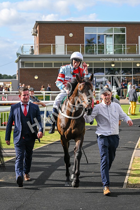 030824-Race 6-Night Breeze-1981 - Race 6