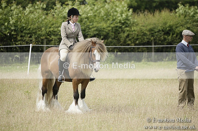 B230619-0448 - Bourne Valley Riding Club Summer Show 23/06/19