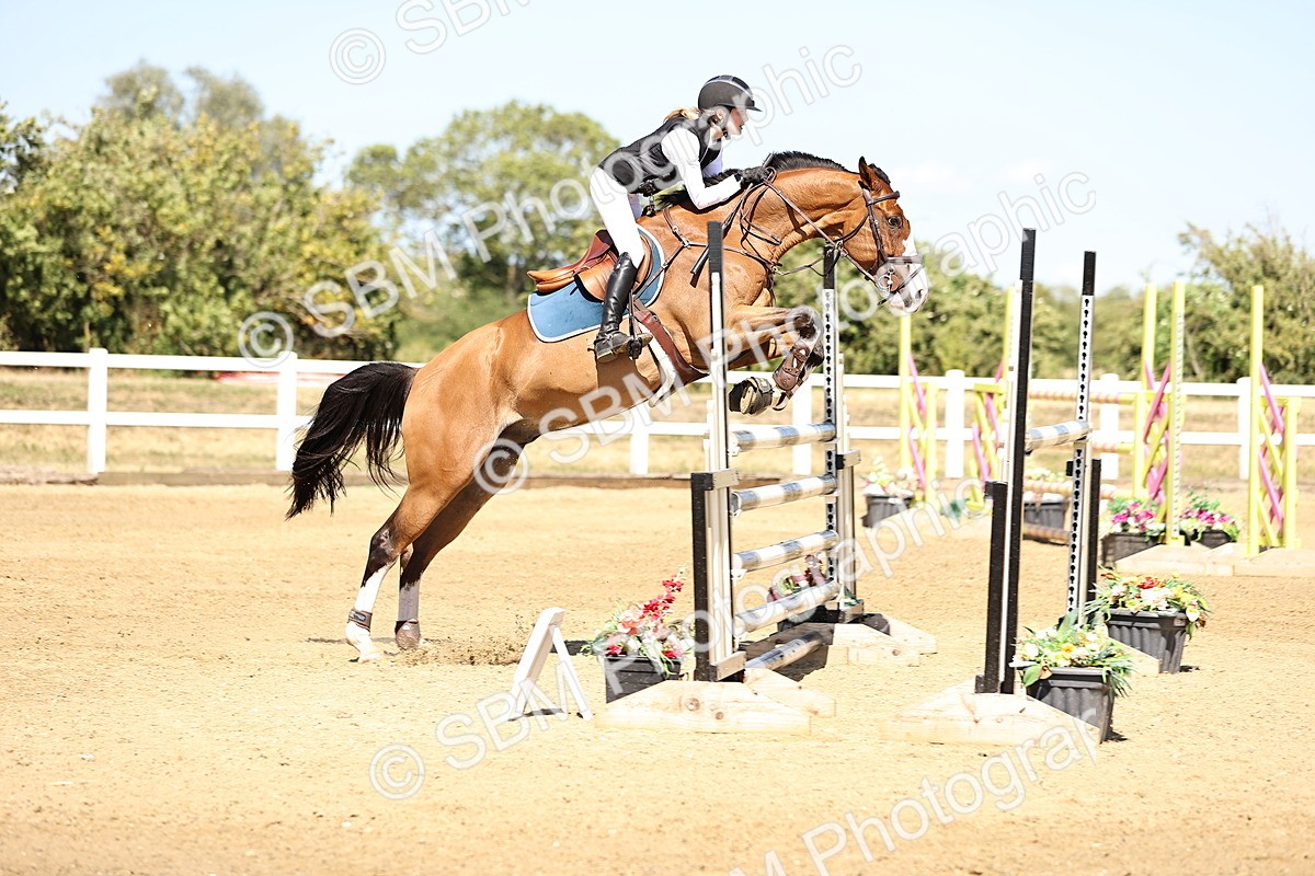 SBM_015228 - Class 16 - Senior foxhunter - 1.20m Open