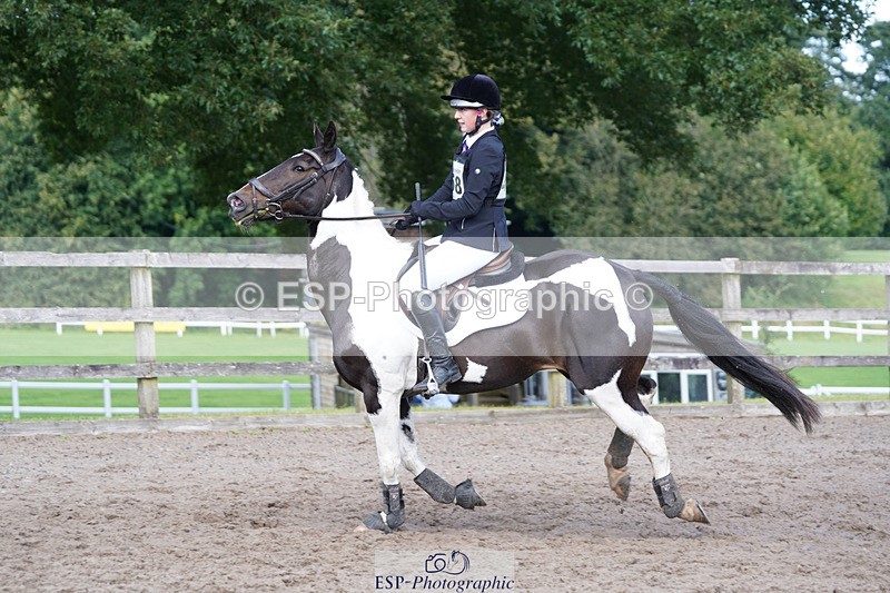 240824X-145240-28539 - 80cm Round 1 14.00 to 15.30