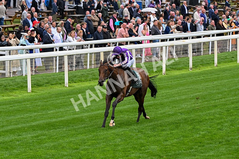 200826-Race 2-Sun Goddess-0279 - Race 2 14.25pm Harry's Half Million By Goffs