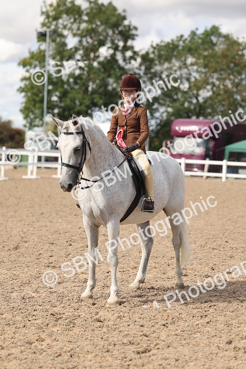SBM_13203 - Class 306 - Ridden Foreign Breds - Part Bred