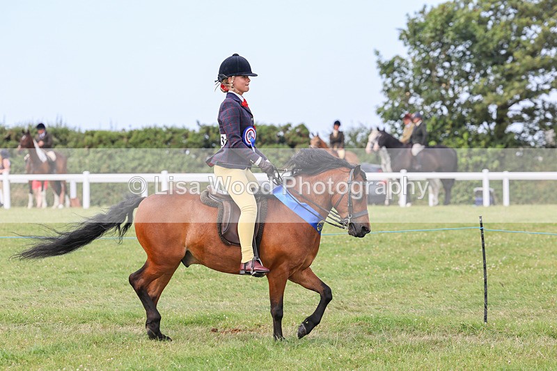 IMG_3754 - M & M Ridden Championship