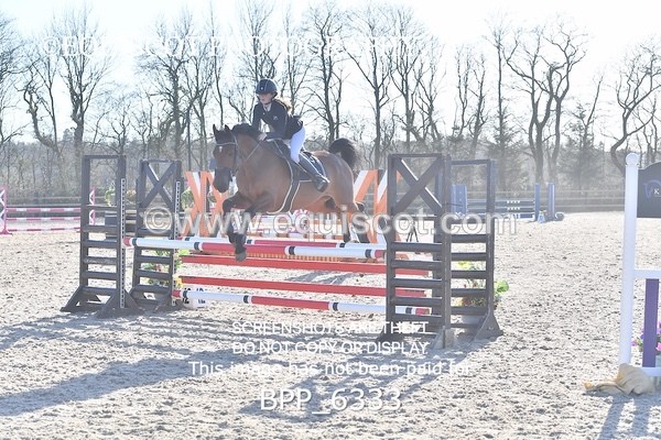 BPP_6333 - CLASS 9 SAT Pony Discovery / 90cm Open