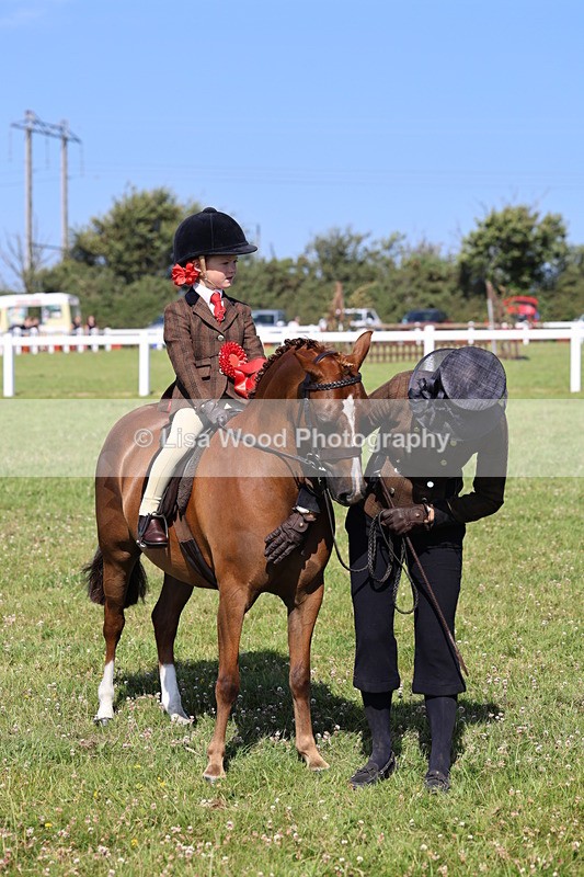 IMG_1756 - Class 31: Lead Rein SP/SHP