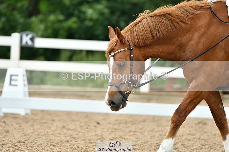 230708A-113303-01115 - Novice 23