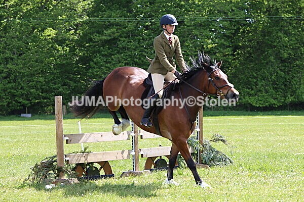 IMG_4235 - Working Hunter
