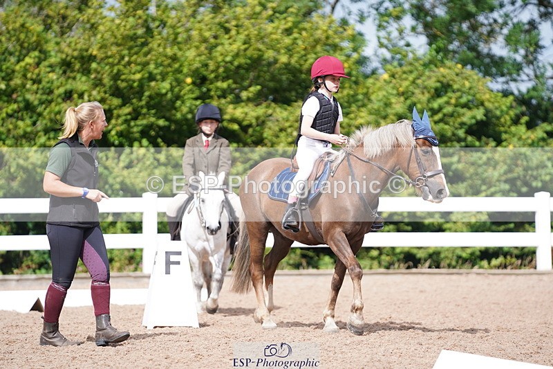 240809A-104846-00668 - Dressage Competition