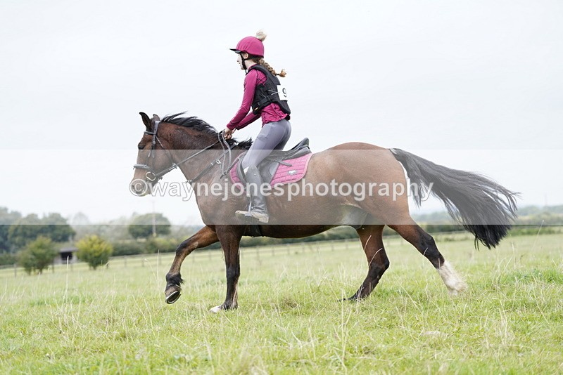 _DSC6615 - Time at Photographer 10:13 to 10:42