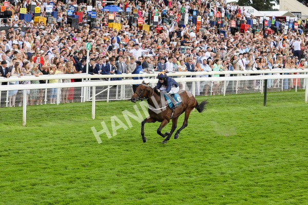 290723-Race 4-Blue Prince-3937 - Race 4 4.00pm 50K ITV7 Weekly Jackpot Nursery Handicap
