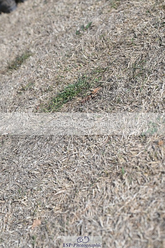 250824A-165436-39776 - PC80 Presentations