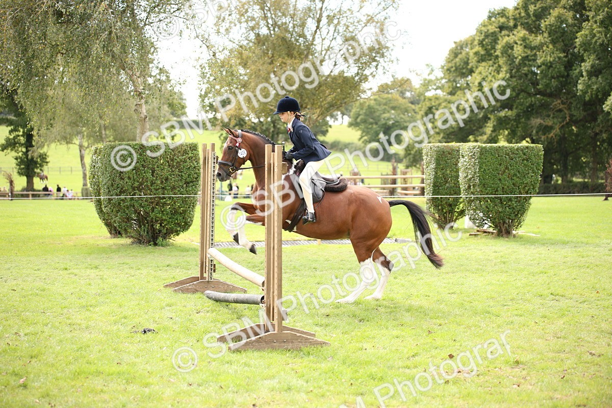 SBM_42317 - S13 - Pony Club Pony