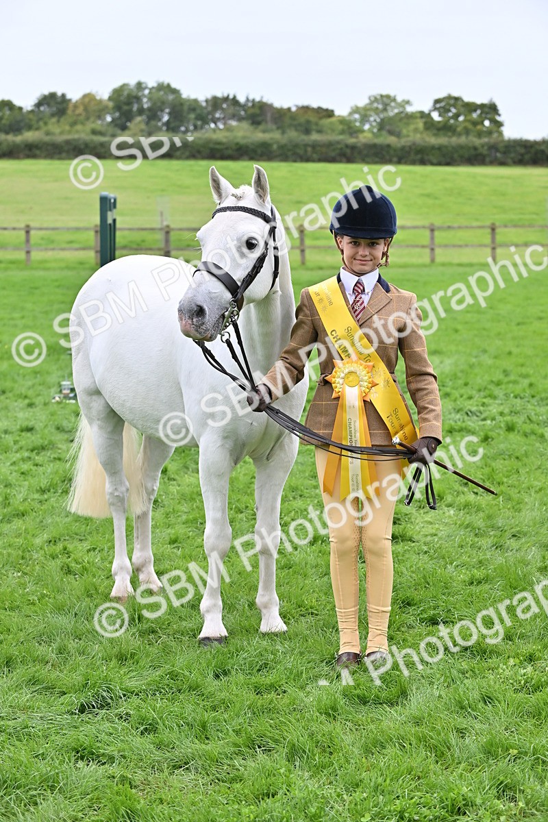 SBM_64952 - S50 - Show Pony & Show Hunter Pony In Hand