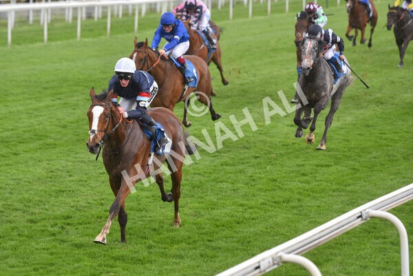 yr22052021r3-32 - Race 3 3.15pm William Hill Extra Place Races Stakes