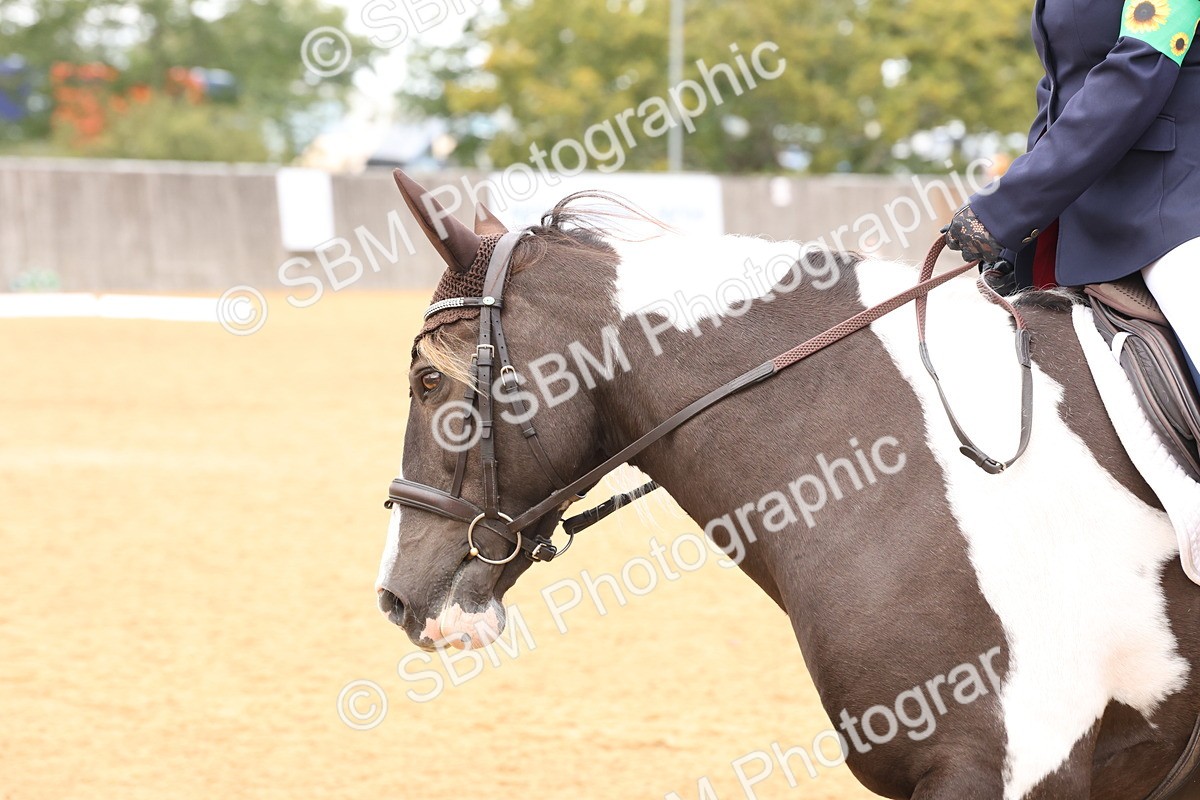 SBM_20281 - D10 - Small Tour Championship Prelim 2