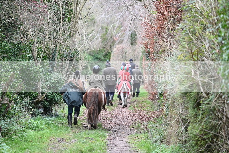 WJ7_0997 - First Seen