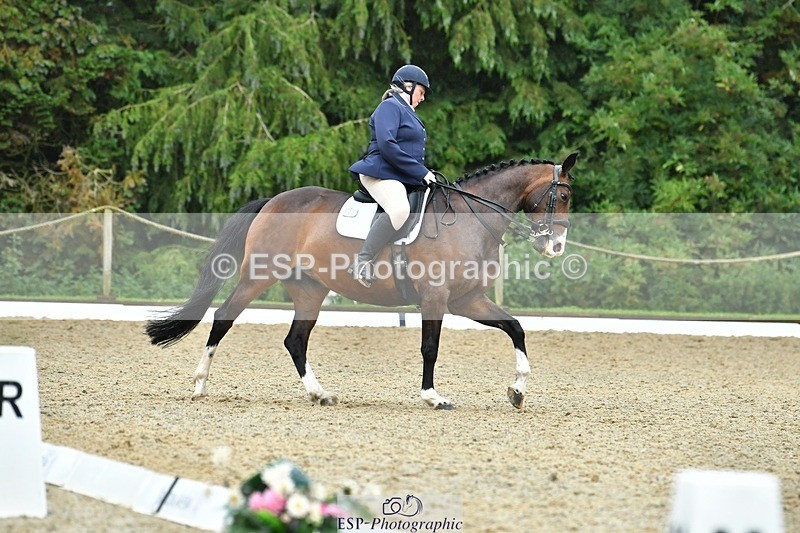 230722-160303-03843 - Cls 5, Elementary Silver 15.10 to End